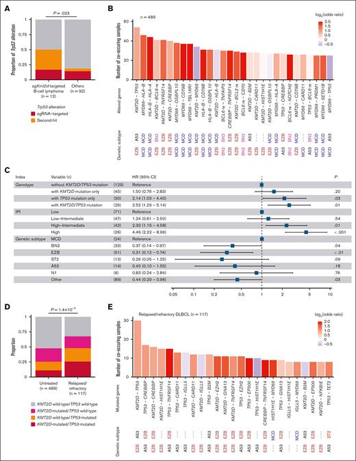 Co-occurring KMT2D and TP53 mutations are prevalent and adversely prognostic in human DLBCL. (A) Proportion of Trp53 alterations in murine sgKmt2d-targeted B-cell lymphoma (n = 12) and others (n = 92). Fisher exact test. (B) Number of co-occurring combinations of driver alterations in 489 untreated patients with DLBCL from National Cancer Institute's Center for Cancer Research (NCICCR) cohort. (C) HRs with 95% CIs for overall survival evaluated by Cox proportional hazards model incorporating presence of KMT2D, TP53, or both mutations, IPI, and genetic subtype according to the LymphGen classification in 230 untreated patients with DLBCL from NCICCR cohort. (D) Proportion of KMT2D, TP53, or both mutations in 489 untreated and 117 patients with relapsed/refractory DLBCL. (E) Number of co-occurring combinations of driver mutations in 117 patients with relapsed/refractory DLBCL. In panels B,E, genetic subtype related to each altered gene is shown according to the LymphGen classification. Bars are colored by odds ratios calculated by Fisher exact test. Aberrant somatic hypermutation target genes are removed. CI, confidence interval; HR, hazard ratio; IPI, International Prognostic Index; re, rearrangement.