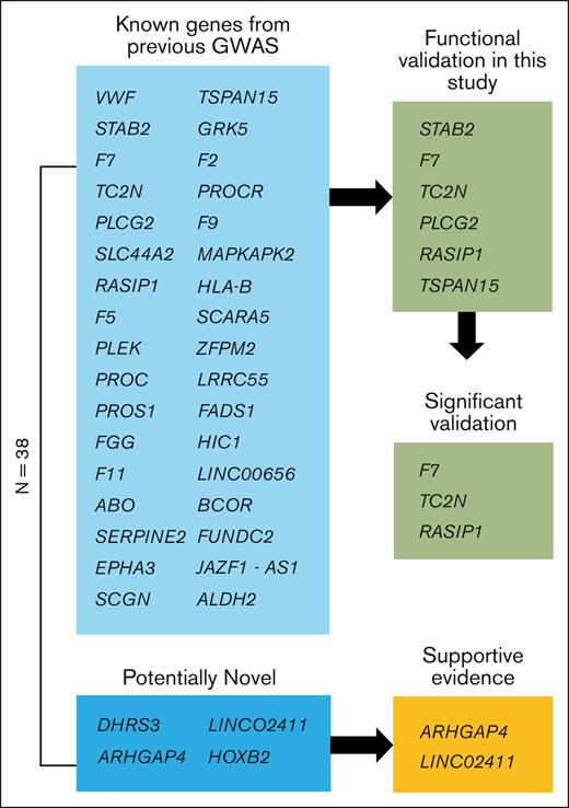 Schematic view of genes. Of the 38 genome-wide significant loci, 4 are potentially novel, and 34 are known from previous GWASs. Of the potentially novel genes, 2 have supportive evidence from recent GWAS meta-analyses.38,39 Six of the previously known genes were functionally validated in this study using a zebrafish model of blood clotting with 3 genes showing supportive evidence (significant validation) as the causal gene for modification of VTE in humans.