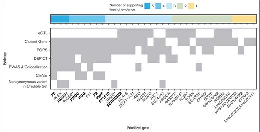 Integrative gene prioritization. Autosomal genome-wide significant loci labeled by prioritized gene (x-axis) with shading for each line of evidence used in the bioinformatics-driven prioritization scheme (y-axis). Genes in bold were on the gold standard list (supplemental Table 7). The 7 lines of evidence evaluated were chosen to cover different mechanisms through which genetic variants contribute to disease risk, for example, regulatory changes vs protein perturbations. For VPS13D;DHRS3, F7;F10, and LINC02375;LINC02411, the genes had equal numbers of supporting lines of evidence. LINC00656 is also known as RP4-737E23.2. rs536995174 had 1 line of evidence each for SERPING1, SLC43A3, SLC43A1, F2, OR5AK4P, and LRRC55 and was excluded from this visualization. Genes with asterisks were selected for follow-up in a functional assay in zebrafish (Figure 3).