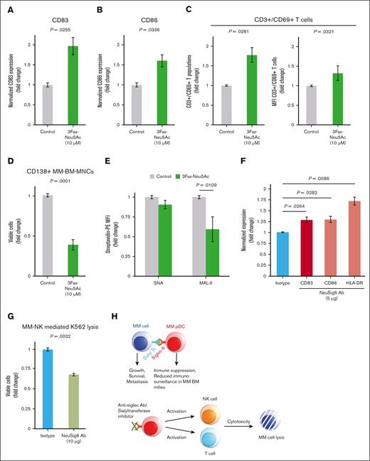 Blocking Siglec-6–sialyltransferase axis activates pDCs and CD3+ T cells. MM BM-MNCs were treated with the sialyltransferase inhibitor 3Fax-Neu5Ac for 24 hours, followed by the flow analysis of activation markers CD83 (A) and CD86 (B) on MM-pDCs (mean ± SD; FC, treated vs untreated; P < .05). (C) MM BM-MNCs were treated with the sialyltransferase inhibitor 3Fax-Neu5Ac for 48 hours, followed by the flow analysis of the activation marker CD69 on CD3+ T cells. Bar plots show the upregulation of CD3+/CD69+ T-cell populations (left) and change in MFI of CD69 on CD3+ T cells (right; mean ± SD; FC, treated vs untreated; P < .05). (D) MM BM-MNCs were treated with the sialyltransferase inhibitor 3Fax-Neu5Ac for 48 hours, followed by the flow analysis of autologous CD138+ tumor cells. After treatment, the cells were washed and stained with anti-CD138 conjugated to Fluorescein isothiocyanate (FITC), followed by staining with 7-AAD. Viable cells were gated out as 7-AAD–, and the viability of autologous CD138+ tumor cells was analyzed in the presence and absence of the inhibitor (mean ± SD; FC, treated vs untreated; P < .05). (E) FC in the MFI of biotinylated lectins SNA and MAL-II bound to pDC cell surface in the presence and absence of 3Fax-Neu5Ac. Fluorescence signal was detected by flow using secondary streptavidin conjugated to PE. The cells were cultured in the presence of increasing inhibitor concentrations (1-125 μM) for 48 hours. After this, the cells were washed and first treated with biotinylated lectins (5 μg/mL; Vector Laboratories) for 45 to 60 minutes. The cells were then washed, followed by staining with streptavidin-PE secondary (0.8-1.0 μg/mL) for 30 minutes. All samples were preblocked with Tru Fc blocker (BioLegend). 7-AAD dye was used to exclude dead cells, and signal was measured only on live cells. The data are presented as FC in biotinylated lectin–streptavidin-PE signal in the presence vs absence of the inhibitor (mean ± SD; P = .0109 for MAL-II). (F) MM BM-MNCs were treated with Siglec-6–neutralizing Ab (5 μg/mL) or appropriate isotype Ab control for 48 hours, followed by the flow analysis of activation markers CD83, CD86, and HLA-DR on MM-pDCs in the presence or absence of Siglec-6–neutralizing Ab (mean ± SD; FC, treated vs untreated; P <.05). (G) Total BM-MNCs from patients with MM were treated with Siglec-6–neutralizing Ab or isotype control (10 μg/mL) for 48 hours, then washed and resuspended, followed by the addition of CellTrace Violet–stained K562 cells. Cells were incubated for 1 day before multicolor flow analysis to assess K562 cell lysis. The bar plot shows the quantification of flow cytometry data (mean ± SD; treated vs untreated). (H) Siglec–sialic acid immune checkpoint axis-mediated immune dysfunction in myeloma (upper); and the therapeutic potential of Siglec–sialic acid immune checkpoint axis as an immunometabolic target (lower).