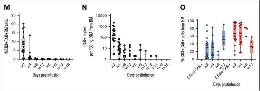 Characterization of the CD19-CAR_Lenti T cells at the end of manufacturing (DPs) and after infusion. The DPs were characterized in terms of number of total cells obtained at the end of manufacturing (A); levels of transduction (B); vector copy number per cell (C); CD4+ and CD8+ subpopulations (D); and memory phenotype, with identification of naïve, CM, EM, and TEMRA CD45RA cells in CD4+ and CD8+ T cells (E). After infusion, the peak levels of circulating CAR T cells per μL in the PB were evaluated by flow cytometry for each DL (F) and the expansion of CD19-CAR__Lenti T cells was monitored overtime by both qPCR (G) and flow cytometry, the latter identifying the absolute numbers of circulating CAR T cells (H) and the percentage of CD3 cells expressing the CAR molecule (I). The CD4/CD8 phenotype of circulating CD19-CAR_Lenti T cells was also evaluated by flow cytometry in the PB, both in terms of CD4/CD8 distribution (J) and of memory phenotype of each subpopulation (K-L). Homing to the BM and persistence of CD19-CAR_Lenti T cells was analyzed by flow cytometry and qPCR (M-N). (O) CD4/CD8 phenotype of BM infiltrating CD19-CAR_Lenti T cells, evaluated by flow cytometry. N, naïve; Pb, peripheral blood.