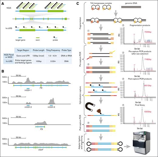 Probe design and experimental procedure for hc-LRS. (A) Comparison of the probes used for hc-LRS in this study with those used for NGS. (B) Sequencing depth and coverage of the target regions. (C) The experimental process from genomic DNA to the final sequencing library involves the following steps: fragmentation, precapture PCR, hybridization capture, postcapture PCR, and adapter ligation. The figure illustrates the results of capillary electrophoresis for the fragmentation products, precapture PCR products, postcapture PCR products, and the final library, showing a trend of decreasing fragment length throughout the experiment. The red and orange bands indicate the fragments introduced by Tn5 transposase, the dark red/red and yellow/orange bands represent the primers for precapture amplification, the blue bands indicate the targeted regions, and the black bands represent the hairpin adapter. UTR, untranslated regions; WES, whole-exome sequencing; RFU, relative fluorescence unit.