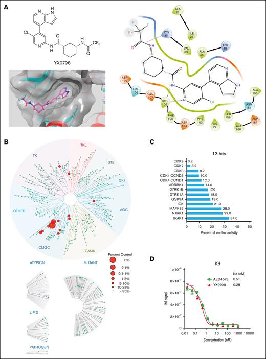 Identification of YX0798, a potent and selective CDK9i. (A) Chemical structure of YX0798 (upper left) and YX0798-CDK9 molecular docking (bottom left). YX0798-CDK9 molecular docking via Schrödinger, using a publicly available AZD4573-CDK9 cocrystal structure. YX0798 interaction with CDK9 visualized in the adenosine triphosphate–binding pocket (right). (B) Kinome profiling of YX0798 at 100 nM using a scanMAX panel consisting of 468 kinases (Eurofins) and (C) the 13 hits identified with > 66% kinase inhibition. (D) The binding affinity of CDK9i YX0798 and AZD4573 using a kdELECT assay (Eurofins).