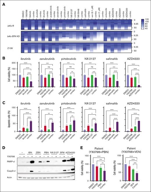 YX0798 shows the potential for combined treatment with other agents. (A) In JeKo-1, JeKo BTK KD, and Z138 cells, a combinational drug screen for YX0798 with a list of agents that are FDA approved or under clinical investigation. The y-axis on the right shows the concentration of YX0798 (nanomolar). The color coding for drug efficacy is shown in the legend. (B) In JeKo-1 cells, YX0798 decreased cell viability and (C) increased apoptosis when used in combination with ibrutinib, zanubrutinib, pirtobrutinib, NX-2127, safimaltib, or AZD4320. (D) Western blots show YX0798 enhanced the cleavage of PARP and caspase-3 when combined with ibrutinib, zanubrutinib, pirtobrutinib, NX-2127, safimaltib, or AZD4320. (E) YX0798 decreased cell viability when used in combination with PBN or VEN in primary samples obtained from a PBN-resistant patient. ∗P < .05; ∗∗P < .01; ∗∗∗P < .001; ∗∗∗∗P < .0001. ns, not significant; VEN, venetoclax.