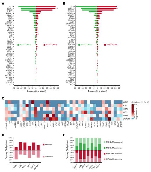 Clinicopathologic features and genomic landscape of distinct RAS pathway genes in CMML. (A) Frequency of detected mutations at the time of diagnosis in patients with RASp mutant (RASMT) or wildtype (RASWT) CMML among the cohort of 814 patients. Statistical differences of median positive are shown (∗P < .05; ∗∗P < .01; ∗∗∗P < .001). (B) Frequency of detected mutations at the time of diagnosis in patients with RASMT (n = 342) compared with RASWT, considering only those in whom all RAS genes were sequenced (n = 196). Statistical differences of median positive are shown (∗P < .05; ∗∗P < .01; ∗∗∗P < .001). (C) Heat map representing mutual exclusivity (blue) or co-occurrence (red) between RAS pathway gene mutations and other somatic mutations, or recurrent cytogenetic abnormalities. The color gradient is based on OR of association. Asterisks represent statistically significant associations (P < .05). (D-E) Bar chart representing frequencies of clonal dominance of RASp mutations among all patients with RASMT CMML (D), or RASMT MD-CMML or MP-CMML (E), in which 2 or more somatic mutations were present. Clonal relationships were tested using Pearson goodness-of-fit tests, with clonal heterogeneity being defined in cases with goodness-of-fit P values < .05, suggesting significant variability of VAF distributions reflecting the presence of several clones. CK, complex karyotype.