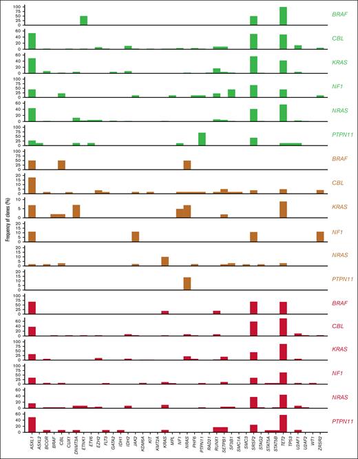 Clonal architecture and molecular composition of distinct RASp mutant genes in CMML. Each row corresponds to a given RASp gene as labeled on the graph. For each gene, the relative frequency of associated comutated genes is indicated by the bar plots. Bar plots in green (top 6) and orange (middle 6) represent the frequencies of clones for a given gene appearing as codominant or subclonal events to each specific RASp mutation, respectively. Bar plots in red (bottom 6) represent the frequency of dominant clones for each gene in cases in which each specific RASp mutation appeared as subclonal events.
