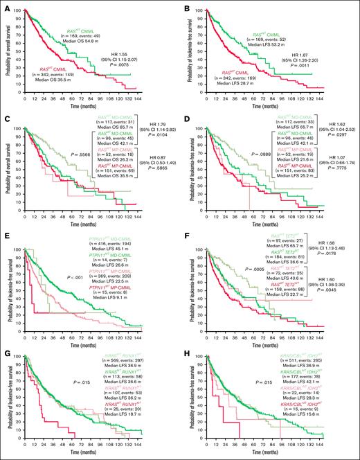 Survival outcomes of RASp mutations in specific clinical and genomic subsets in CMML. (A-B) Kaplan-Meier survival estimate curves for OS (A) or LFS (B) of RAS mutant (RASMT, n = 342) compared with RASWT (n = 196) CMML. Only patients with RASWT in whom all RAS mutant genes were sequenced are included. (C-D) Kaplan-Meier survival estimate curves for OS (C) or LFS (D) of MD-CMML or MP-CMML based on the presence or absence of RASp mutations. Only patients with RASp mutations in whom all RASp genes were sequenced are included (n = 196). (E) Kaplan-Meier survival estimate curve for LFS based on PTPN11 mutational status (mutant, PTPN11MT; wildtype, PTPN11WT) among MD-CMML or MP-CMML. (F-H) Kaplan-Meier survival estimate curves for LFS based on (F) RAS mutant and TET2 (mutant, TET2MT; wildtype, TET2WT) mutational status, (G) NRAS (mutant, NRASMT; wildtype, NRASWT) and RUNX1 (mutant, RUNX1MT; wildtype, RUNX1WT) mutational status, or (H) KRAS or CBL (mutant, KRAS/CBLMT; wildtype, KRAS/CBLWT) and IDH2 (mutant, IDH2MT; wildtype, IDH2WT) mutational status.