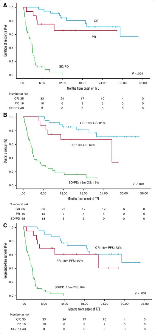 Impact of RDI for lenalidomide. (A) DOR, and (B) PFS according to RDI for lenalidomide in the efficacy and (C) ITT cohorts. CR, complete response; PR, partial response; SD, stable disease; PD, progression of disease.