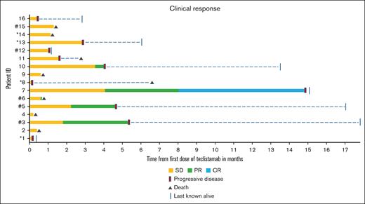 Swimmer plot outlining duration of therapy (in months) and clinical response. Patients with prior BCMA exposure are indicated by ∗ and patients with EMD by #. CR, complete response; PR, partial response; SD, stable disease/no response.