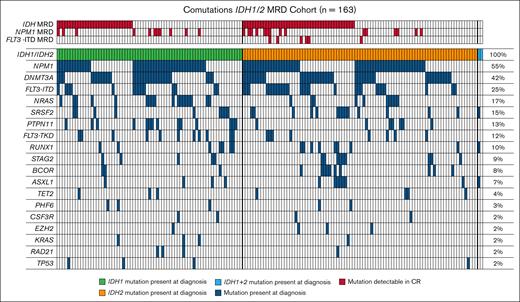 Co-occurring mutations at diagnosis in patients with AML carrying mutant IDH1 and IDH2. A total of 163 patients were included. Blue bars indicate whether a mutation is present at diagnosis. Red indicates (top rows) whether a mutation is present in CR.
