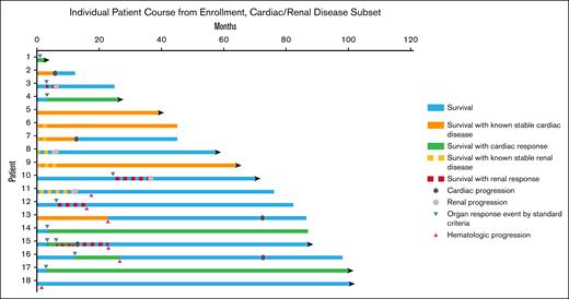 Course of CAEL-101 patients with cardiac and/or renal involvement at enrollment. Cardiac and renal responses were calculated from trial enrollment. Patients 6, 7, 9, and 15 had both cardiac and renal involvement. Patients 4 and 13-17 experienced cardiac response by NT-proBNP measurement; patients 3, 10, 12, 15, and 18 experienced renal response by proteinuria measurement. Patients 2, 7, 13, 15, and 16 developed cardiac progression; patients 3, 8, 10, and 11 developed renal progression by eGFR measurement. Patients 11-13, 15, 16, and 18 developed hematologic progression. Patients 2, 3, 7, 12, and 13 died from progressive AL amyloidosis (patient 12 from novel heart failure not present at time of CAEL-101 initiation); patient 6 died from venous thromboembolic complications; patient 14 died from gastric cancer; and patient 16 died from progressive multiple myeloma.
