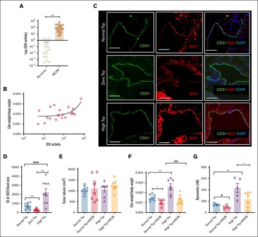 IDO1 inhibition attenuates thrombosis in a mouse cancer model under different Trp diets. (A) IDO activity measured in the sera of mice with and without MC38 tumor. A group of age-matched 8- to 12-week-old C57BL/6 female mice were used for this experiment. The y-axis is depicted in a log scale. Error bars represent SEM. Student t test was used to compare the groups (P = .0037). (B) Clot weights measured under different diets, as described in Figure 3E, were plotted against values of IDO1 activity measured in the sera of mice described in panel A. A linear correlation between normalized clot weights and IDO activity levels. (C) Representative IF images of IVC from IVC of mice on different Trp diets, stained with antibodies to IDO1 and CD31. DAPI was used for nuclear stain (scale bar, 100 μm). (D) ID of IDO1 labeling normalized to a uniform surface area in all samples. ANOVA (P < .001). Student t test was used to compare groups. (E) Averages of tumor volume in all groups are shown. Error bars represent SEM. (F) Averages of clot weights normalized to the body weight across different groups of mice are shown. Error bars represent SEM. ANOVA was done to compare all groups; P < .0001. Student t test was performed to compare groups. ∗P = .0131; ∗∗P = .0020; ##P = .0011. (G) Average levels of Kyn are shown. Error bars represent SEM. Kyn level measured here under a normal or high Trp diet is somewhat higher than the one recorded in Figure 5C, likely owing to a 3-day longer duration of diet under this experimental condition (see “Results”). The number of mice analyzed under each condition is denoted by dots in each bar graph. Age-matched C57BL/6 female mice were used in all experiments, similar to Figure 1. ANOVA was performed to compare all groups. P = .0012. Student t test was performed to compare groups. #P = .0199; ∗P = .0501; ∗∗P = .0079.