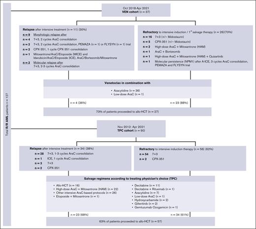Flow diagram by treatment groups. AraC, cytarabine arabinoside; CPX-351, liposomal formulation of AraC and daunorubicin at a fixed 5:1 molar ratio; FLYSYN trial (NCT02789254), therapy with Fc-optimized FLT3 antibody FLYSYN; HAM, high-dose AraC + mitoxantrone; ICE, idarubicin/AraC/etoposide; MICE, mitoxantrone/AraC/etoposide; PEMAZA trial (NCT03769532), combinational therapy of pembrolizumab and azacitidine; 7+3, intensive induction therapy with daunorubicin on days 1 to 3 plus AraC on days 1 to 7.