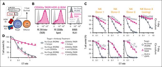Constitutive expression of CD300a TASR robustly protects B2M KO T cells against NK alloreactivity via CD300a agonism. (A) Experimental overview, NK challenge assay with T cells engineered to express cloaking transgene from the B2M locus via nonviral HDR concomitant with B2M KO. (B) TASR and HLA-I expression by flow cytometry of target T cells expressing CD300a TASR or RQR8 negative control transgene from the B2M locus, as well as HLA-I+ control T cells expressing GFP from the AAVS1 locus. CD300a TASR expression evaluated by antibody (left panel) and ligand-based (middle panel) staining. Dashed lines indicate negative control T cells stained with the same marker. (C) NK challenge assay with 3 NK cell donors against target T cells from panels A-B cocultured for 1 and 7 days. NK cells were cultured in 10 ng/mL IL-15, whereas resting NK cells are thawed, rested overnight, and cocultured in the absence of exogenous cytokines. N = 1 to 2 technical replicate curves per condition. (D) 1-day NK challenge assay against target T cells from panels A-B in the presence of 5 μg/mL of anti-CD300a (clone MEM-260), anti-CD300c (clone TX45), or mouse IgG1 isotype control antibody. N = average of 2 technical replicate curves per condition.