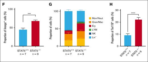 STAT5-deficient HSCs display reduced cell cycle entry, increased differentiation, and reduced retention of lineage-negative progeny. (A) Gene set enrichment analysis (GSEA) plots showing depleted cell cycle–related signatures in STAT5-deficient ESLAM (CD45+CD150+CD48−EPCR+) HSCs. scRNAseq analysis using the Smart-seq platform was performed on FACS-isolated ESLAM HSCs from STAT5f/f Cre- or STAT5f/f Cre+ BM; 132 STAT5-deficient and 132 WT HSCs passed quality control and were used for downstream analysis. The normalized enrichment scores (NES) and false discovery rate (FDR) are indicated. (B) Plots showing the cell cycle scores of transcriptionally defined LT-HSCs, ST-HSCs, and MPPs that were isolated from scRNAseq data sets of WT and STAT5-deficient BM LK cells (STAT5 WT, n = 3; STAT5KO, n = 3). (C) Line graphs showing the proportion of ESLAM HSCs that past first, second, third, and fourth divisions at given timepoints (y-axis) in the single cell in vitro analysis (mean ± SEM). The results are from 3 biological replicates across 3 experiments. (D) Bar plots (left) showing the mean fluorescent intensity (MFI) of pSTAT5 antibody staining of ESLAM HSCs by intracellular flow-cytometry analysis in unstimulated maintenance culture conditions62 (SCF/IL-11) or TPO (200 ng/mL) positive control conditions (mean ± SEM). Right; representative histogram of the intracellular flow-cytometry analysis showing the intensity of pSTAT5 staining in each condition. The results are from 3 biological replicates. (E) Bar plot showing the number of cells in each well at day 5 from an initial culture of 50 ESLAM HSCs in SCF/IL11 maintenance conditions. The number of cells that expressed mature lineage markers (Ter119+, Ly6g+, CD11b+, NK1.1+, B220+, CD19+, or CD3e+) and the number of lineage-negative cells are shaded in different colours (mean ± SEM). The results are from 9 to 7 biological replicates across 4 experiments. (F) Bar plot showing the proportion of cells that expressed mature lineage markers after 5 days in culture that originated from 50 ESLAM HSCs (mean ± SEM). (G) Bar plot showing the proportion of cells that expressed specific mature lineage markers for monocytes (Mons) and granulocytes (Grans; Ly6g+), Grans and macrophages (MacsCD11b+), erythroid (Ery; Ter119+), lymphocytes (LYMs; CD3e+/CD19+/B220+), and natural killer cells (NK; NK1.1+) after 5 days in culture that originated from 50 ESLAM HSCs (mean ± SEM). (H) Bar plot showing the frequency of Ter119+ cells after 5 days in culture that originated from 50 ESLAM HSCs (mean ± SEM). Asterisks indicate significant differences as determined by Student t test (∗∗∗∗P < .0001; ∗∗∗P < .001; ∗∗P < .01; ∗P < .05). KO, knockout.