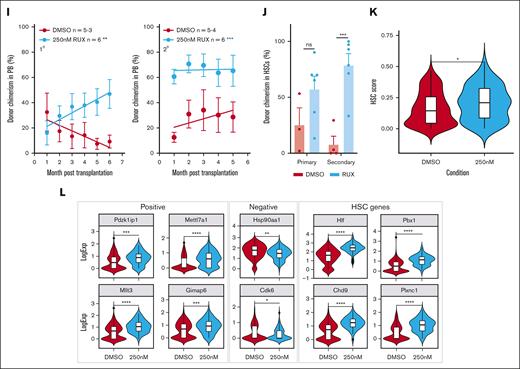Ruxolitinib (RUX) enhances HSPC clonogenicity and maintains transplantable HSCs. (A) Schematic diagram showing intracellular flow cytometric analysis of STAT5 proteins in RUX-treated WT ESLAM HSCs (CD45+CD150+CD48−EPCR+). WT ESLAM HSCs were sorted into serum–starved media and starved for 1 hour before a 30-minute stimulation with complete medium containing IL-3, IL-6, and SCF in the presence or absence of RUX,67 and a stimulation cocktail containing thrombopoietin (THPO), Flt3-L, and interferon alfa for positive control was included. Cells were then fixed and stained for intracellular flow cytometry. (B) Bar plots showing the MFI of pSTAT5 antibody staining in ESLAM HSCs, described in panel A, normalized to the unstimulated condition, which is indicated with the dotted line (mean ± SEM). Each dot represents the MFI of ESLAMs from a single mouse. The results are from 3 independent experiments. (C) Bar plots showing the MFI of total-STAT5 (tSTAT5) antibody staining in ESLAM HSCs, described in panel A, normalized to STAT5-deficient HSPCs, which is indicated with the dotted line (mean ± SEM). The results are from 3 independent experiments. (D) Bar plots showing cell number per well in HSC-derived cultures at each dose of RUX or vehicle after 7 days (mean ± SEM). A total of 50 ESLAMs were seeded per well in 96-well plates in IL-3/IL-6/SCF67 cultures and were treated with DMSO or the indicated doses of RUX. The results are from 6 independent experiments. (E) Bar plot showing the proportion of cells that expressed lineage-positive markers (Ter119+/Ly6g+/CD11b+/B220+/CD3e+) after 7 days in culture at different concentrations (nM) of RUX (mean ± SEM). A total of 50 ESLAMs were seeded per well in 96-well plates in IL-3/IL-6/SCF67 cultures and were treated with the indicated doses of RX. The results are from 6 independent experiments. (F) Bar plots showing the clone survival rate of single HSCs after 5 days in culture. Single ESLAM HSCs were sorted per well and treated with vehicle or RUX. Clone survival rate was the proportion of wells that contained cells at day 5. Each dot represents the frequency of surviving clones from each of 3 independent experiments; the bars show the mean ± SEM. (G) Schematic diagram showing the serial colony replating assays and in vivo functional analysis for ESLAM HSCs treated with RUX or vehicle. A total of 50 WT ESLAM HSCs were sorted per well into complete media67 with scaled doses of RUX or vehicle. Cells were harvested after 7 days and plated into serial colony replating assays. ESLAM HSC (CD45.2+)–derived cells after 5 days in culture were harvested and transplanted into lethally irradiated recipient mice (CD45.1+) with 3 × 105 fresh BMMNCs from competitor mice (CD45.1+/CD45.2+). Blood was analyzed every 28 days for 6 months. Secondary transplants were then set up by transplanting 3 × 106 BM cells from the primary transplant recipients. (H) Bar plots showing the number of colonies produced by HSC-derived cultures treated with vehicle or RUX (250 or 1000 nM) for 7 days, normalized to the number of colonies produced by vehicle-treated cultures at each week of replating. The results are shown as mean ± SEM and were from 5 independent experiments, 3 of which included 1000 nM. Asterisks indicate significant differences as determined by Mann-Whitney U tests (∗∗P < .01; ∗P < .05). (I) Scatter dot plot with linear regression line of best fit showing the peripheral blood donor chimerism in primary (left) and secondary (right) recipients transplanted with 5-day ex vivo cultured HSCs with RUX or vehicle. A total of 50 ESLAMs from WT mice were seeded per well in IL-3/IL-6/SCF culture conditions and given DMSO or 250 nM of RUX for 5 days before the cells were harvested and pooled for each condition, and an equivalent of 10 starting ESLAMs was transplanted per recipient with 3 × 105 competitor BM cells. Each dot indicates the mean donor chimerism and are shown as mean ± SEM. Black asterisks indicate significant differences in the slopes of the linear regression modeling that compared chimerism of RUX-treated donor cell with DMSO-treated donor cell chimerism in the primary recipients (∗∗P < .01). Blue asterisks indicate significant differences in the y-intercepts of linear regressions modeling that compared chimerisms of RUX-treated donor cells with DMSO-treated donor cells in secondary transplants (∗∗∗P < .001). (J) Bar plots showing the donor chimerism within the ESLAM HSC compartment at the end of primary and secondary recipients of 5-day ex vivo cultured HSCs with RUX or vehicle. The data are shown as the mean ± SEM. (K) Violin plot showing the geometric mean distribution of HSC scores in LT-HSCs from the 10x scRNAseq data set of the cells treated with RUX or DMSO. The scores were calculated using the HSC score tool that identifies potential mouse BM HSCs from scRNAseq data.63 This tool considers the expression of genes that are either positively or negatively correlated with HSC long-term repopulating capacity.64 (L) Violin plots showing significantly differentially expressed genes that are positively associated with functional long-term repopulating HSCs (Pdzk1ip1, Mettl7a1, Mllt3, and Gimap6), negatively associated with functional long-term repopulating HSCs (Hsp90aa1 and Cdk6), or genes with reported functions in maintaining HSCs (Hlf, Pbx1, Chd9, and Plxnc1). All data were combined from 2 independent experiments. Asterisks indicate significant differences as determined by Student t tests (∗∗∗∗P < .0001; ∗∗∗P < .001; ∗∗P < .01; ∗P < .05) unless otherwise indicated. ns, not significant.