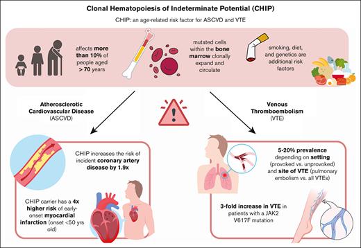 Overview of risk factors and thromboembolic sequelae of CHIP.