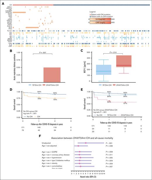 Clinical features, prevalence of CH, and disease-related outcomes of 243 patients hospitalized with COVID-19 in the prevaccination era. (A) Heat map showing the spectrum of CH mutations, sex distribution, COVID-19–related complications, prevalence of CRS, and serum cytokines and inflammatory markers. (B) Bar plots comparing the prevalence of ARDS among patients with COVID-19 with TET2mt CH and DNMT3Amt CH. ARDS exclusively occurred in patients with COVID-19 with underlying DNMT3Amt CH but not TET2mt CH (Mann-Whitney U test, P = .007). (C) Box plots comparing the serum MCP-1 concentrations among patients with COVID-19 with TET2mt CH and DNMT3Amt CH at the time of hospitalization. There was an increase in serum MCP-1 concentration in patients with COVID-19 with underlying DNMT3Amt CH compared with those with TET2mt CH (Mann-Whitney U test, P = .014). (D) Kaplan-Meier plot showing the OS estimates for 243 patients with COVID-19, stratified by CH status. There was increased all-cause mortality among patients with COVID-19 with underlying CH (log-rank test, P < .001). (E) Kaplan-Meier plot showing the OS estimates for 218 patients with COVID-19, stratified by CH status (further stratified into TET2mt CH and DNMT3Amt CH). The increased all-cause mortality among patients with COVID-19 with underlying CH was mainly driven by DNMT3Amt CH (log-rank test, P < .001). This association remained consistent after adjusting for age at COVID-19 diagnosis: Hazard ratio (HR), 2.84 (95% CI, 1.16-6.94; P = .022). (F) Forest plot showing the HRs calculated using Cox models adjusted for age, sex, and various comorbidities. We observed significant increase in all-cause mortality in patients with COVID-19 with DNMT3Amt CH compared with those without CH mutations, even after adjusting for comorbidities. AKI, acute kidney injury; ALI, acute lung injury; CLOT, venous thromboembolism; CI, confidence interval; COPD, chronic obstructive pulmonary disease; CRP, C-reactive protein; IMV, invasive mechanical ventilation; MODS, multiple organ dysfunction syndrome; NIV, noninvasive ventilation.