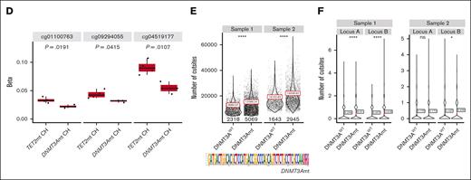 Characterization of epigenetic deregulation in patients with CH with DNMT3A mutations. (A) Proportion of each cell type identified in the scRNA-seq data from the 10x multiome platform stratified by 5 conditions as shown in the y-axis. The healthy cohort is further stratified by age: <50 and >50 years, respectively. (B) Violin plots showing cell-type–specific changes in chromatin accessibility measured as the total number of cut sites (sum of TF-IDF–normalized cut site counts across all peaks; scATAC-seq data from multiome) in each cell type. Only cell types with >100 cells are shown. Black dots show the mean value. Not significant (ns), P > .05; ∗P ≤ .05; ∗∗P ≤ .01; ∗∗∗P ≤ .001; ∗∗∗∗P ≤ .0001 (Wilcoxon rank sum test). NK and CD4 T cells showed significant increase in chromatin accessibility in patients with DNMT3Amt CH compared with TET2mt CH in the context of COVID-19. (C) Coverage plot showing epigenomic dysregulation of IL-32 in DNMT3Amt CH compared to TET2mt CH, through multiomics analysis. The plot shows the coaccessible peaks with IL-32 transcription start site (TSS) in patients with TET2mt CH and those with DNMT3Amt CH, both with COVID-19 (coaccessibility score > 0.1; blue and red arcs), the chromatin accessibility signal per group of cells, IL-32 gene expression (violin plots; right), candidate cis-regulatory elements predicted by ENCODE (colored-coded bars), open chromatin peaks (gray bars), differentially accessible peaks that are more accessible in patients with DNMT3Amt CH than those with TET2mt CH in CD4 T cells (light blue bars), CpG sites hypomethylated in patients with DNMT3Amt CH compared with patients with TET2mt CH (dark blue bars), and CpG sites overlapping open chromatin regions (black bars) around the IL-32 gene locus. Labeled loci A and B are chr16:3123999-3124965 and chr16:3263558-3264913, respectively. These loci are regions in which patients with DNMT3Amt CH gained accessibility in CD4 T cells, overlapped with hypomethylated CpG sites and gained coaccessibility with IL-32 TSS. (D) Box plots showing methylation levels (β values) per patient in TET2mt CH and DNMT3Amt CH cohorts (both with COVID-19) at 3 hypomethylated CpG sites shown in panel C. The middle line represents the median; the lower and upper edges of the rectangle represent the first and third quartiles, respectively; and the lower and upper whiskers represent the interquartile range × 1.5. The groups were compared using Wilcoxon rank sum test. (E-F) Violin plots showing significant increase in chromatin accessibility in DNMT3Amt cells compared with DNMT3Awild-type cells as determined by GoTChA analysis. The data shown are the total number of cut sites (E) and the number of cut sites at loci A and B from panel C (F), in DNMT3A wild-type and DNMT3Amt cells from 2 samples (DNMT3Amt clonal cytopenias of undetermined significance) profiled using GoTChA. Red dots show the mean value. Mutation site in the DNMT3A gene is shown in the bottom of panel E. ns, P > .05; ∗P ≤ .05; ∗∗P ≤ .01; ∗∗∗P ≤ .001; ∗∗∗∗P ≤ .0001 (Wilcoxon rank sum test). cDC, classical dendritic cells; CTCF, CCCTC-binding factor; Dist., distal; gdT, γδ T cells; Int, intermediate; MAIT, mucosal-associated invariant T cells; Mono, monocytes; pDC, plasmacytoid dendritic cells; Prox., proximal; Treg, regulatory T cells.