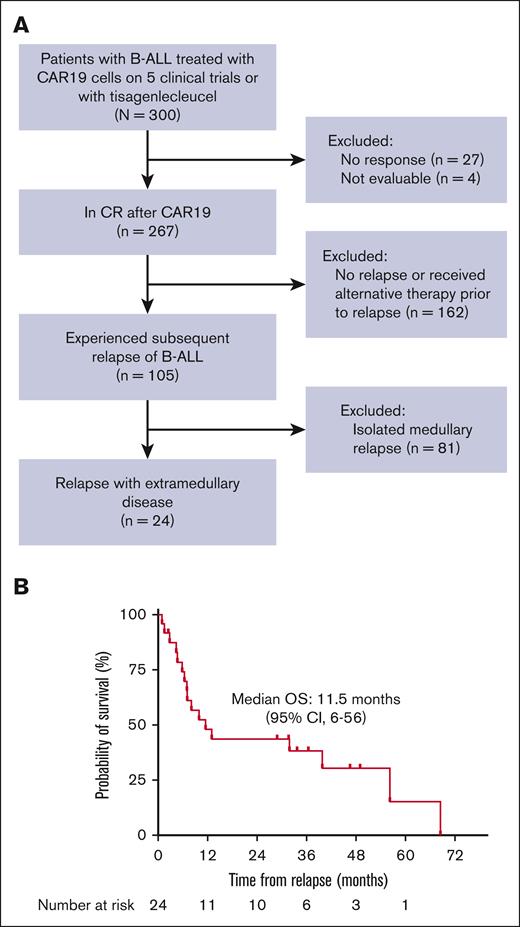 Patient inclusion and survival. (A) Flow diagram for patients included in the analysis. (B) OS from post-CAR19 EMD relapse, defined as the time from relapse to the date of death from any cause. CR, complete remission.