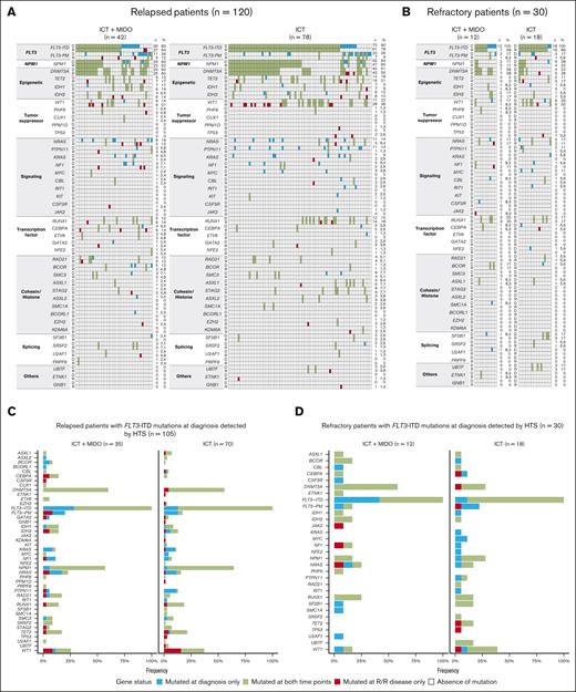 Evolution of gene mutations between diagnosis and R/R disease assessed by HTS. (A-B) Evolution of gene mutations between diagnosis and R/R disease, according to the type of progression: relapse (A) or refractory disease (B) and the treatment group. Genes are organized according to their functional class. Each column represents a single patient. For each patient, the evolution of the gene status is indicated by the color of the boxes. For each gene, the number (n) and percentage (%) of patients with mutated genes at each time point are displayed on the right of the figures. (C-D) Evolution of gene mutations among patients who experienced relapse (C) or refractory disease (D), according to the treatment group. Only patients harboring FLT3-ITD mutations at diagnosis as assessed by HTS are displayed. D, diagnosis; PM, point mutations; R, relapsed (left side) or refractory disease (right side).