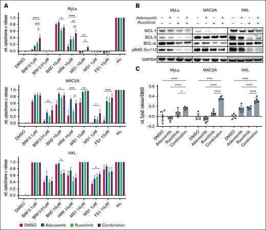 Proapoptotic mechanisms of adavosertib and ruxolitinib. (A) Change in apoptotic dependencies after drug treatment assessed through dynamic BH3 profiling. hBIM is an activator of BAX and BAK, mBAD antagonizes BCL-2, BCL-xL, and BCL-w, HRK specifically antagonizes BCL-xL and MS1 specifically antagonizes MCL-1. DMSO served as a negative control, alamethicin served as a positive control. Significance was assessed with a 2-way ANOVA after Dunnett correction. Bar graphs illustrate mean values of 3 independent experiments. (B) Western blot data of single drug and combination treated cells. Three cell lines were treated for 24 hours with 500 nM adavosertib, 5 μM ruxolitinib, or the combination of both compounds. Immunoblotting shows protein expression changes of antiapoptotic BCL-2 family members and phosphorylation of the proapoptotic sensitizer BAD. Illustrated is a representative example of 3 independent experiments. (C) Drug-induced mitochondrial cytochrome c release in cell lines treated for 24 hours with 500 nM adavosertib, 5 μM ruxolitinib, or the combination of both compounds. Significance was assessed with a 1-way ANOVA and Bonferroni correction. ∗P ≤ .05; ∗∗P ≤ .01, ∗∗∗P ≤ .001, ∗∗∗∗P ≤ .0001. GAPDH, glyceraldehyde-3-phosphate dehydrogenase.