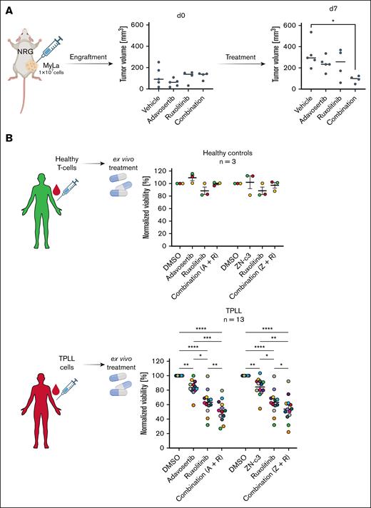 In vivo xenograft study and ex vivo treatment of T-PLL primary samples vs healthy control samples. (A) Xenograft study indicating tumor volumes at day 0 and day 7 of NRG-mice engrafted with MyLa cells and treated with a vehicle control, adavosertib, ruxolitinib, or the combination of adavosertib and ruxolitinib. (B) Normalized viability measurement of 13 T-PLL primary samples and 3 healthy control samples after 72-hour single drug and combination treatment shows significant decreases in viability through combination treatment selectively in the T-PLL samples. Cell viability was measured with RealTime-Glo MT Cell Viability Assay and normalized to a DMSO-treated control. Significance was assessed with 1-way ANOVA after Tukey correction. ∗P ≤ .05, ∗∗P ≤ .01, ∗∗∗P ≤ .001, ∗∗∗∗P ≤ .0001. A, adavosertib; R, ruxolitinib; Z, ZN-C3.