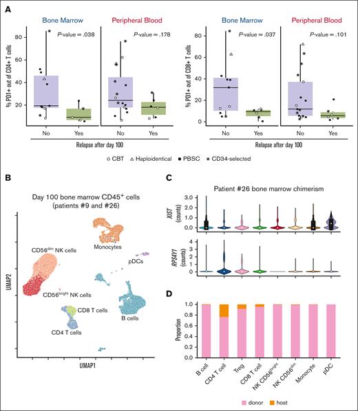 T-cell PD1 expression and chimerism in the marrow after transplant. (A) Day 100 PD1 expression on marrow and blood CD4 T cells, stratified by disease relapse status and compared using the Mann-Whitney test. PD1 analysis for conventional CD4 T cells and regulatory CD4 T cells included in supplemental Figure 3A. The analysis included only samples obtained before the occurrence of relapse diagnosis. ∗P < .05. (B) UMAP visualization of single-cell RNA sequencing of day 100 posttransplant bone marrow aspirates from patient 9 (n = 20 943 cells) and patient 26 (n = 16 131 cells), showing principal CD45+ cell-type clusters. (C) Single-cell chimerism analysis of marrow cells from patient 26. Violin plots showing gene expression (log-normalized counts) of XIST (female donor cells) and RPS4Y1 (male host cells). Owing to dropout, further characterization was performed using Souporcell15 to cluster genotypes by single-nucleotide variants, with proportions of host contributions to the major lymphocyte and myeloid compartments shown in the bar plot in panel D. CD4 T cells are separated into conventional CD4 T cells and Tregs. pDCs, plasmacytoid dendritic cells; UMAP, uniform manifold approximation and projection.