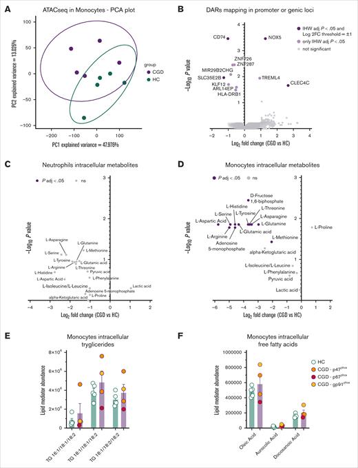 Epigenetic landscape and metabolic profile of CGD monocytes. (A) Principal component analysis of the accessible peaks of unstimulated monocytes from HC (n = 5) and CGD (n = 5) detected with ATAC-seq. The first 2 principal components are visualized, where PC1 accounts for 47.976% of the total variance epigenetic profile. (B) Volcano plot of differentially accessible regions mapping in promoter or genic loci of monocytes from HC (n = 5) and patients with CGD (n = 5) assessed by ATAC-seq. Peaks with an adjusted IHW P value <.05 and a mean log2FC > 1 or < −1 are plotted in dark purple. (C-D) Volcano plots of differentially abundant metabolites between neutrophils (C) and monocytes (D) from HC (n = 3) and patients with CGD (n = 5) assessed by targeted metabolomics. The plots represent log2FC and −log10 of the corrected P values compared with HC. Metabolites with an adjusted P value < .05 and a mean log2FC > 1 or < −1 are plotted in dark purple and were considered as differentially regulated. (E-F) Intracellular quantification of triglycerides (F) and free fatty acid (G) in unstimulated monocytes from HC (n = 5) and patients with CGD (n = 4). (E-F) Data are presented as the means ± SEM and statistical analysis was performed using the Mann-Whitney U test between patients and HC; a 2-sided P value <.05 was considered statistically significant. FFA, free fatty acid; IHW, independent hypothesis weighting; kbp, kilobase pairs; ns, not significant; TG, triglyceride; TSS, transcription start site; TTS, transcription termination site.