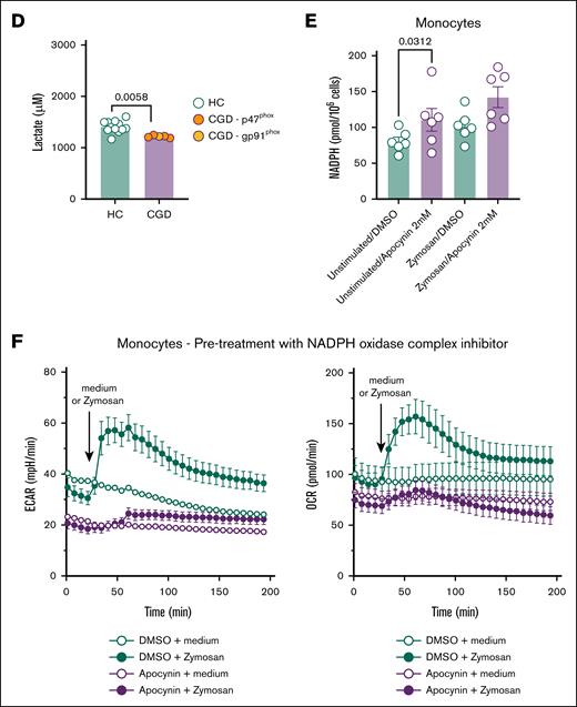 CGD neutrophils and monocytes present functional metabolic defects. (A) ECAR on Glyco Stress Test in monocytes from HC (n = 13) and CGD (n = 5) and relative metabolic glycolytic parameters. (B) OCR on Mito Stress Test in monocytes from HC (n = 13) and patients with CGD (n = 5) relative metabolic mitochondrial parameters. (C) ECAR on Glyco Stress Test in neutrophils from patients with CGD (n = 5) and HC (n = 3) and relative metabolic glycolytic parameters. (D) Lactate production after 4 hours in unstimulated neutrophils from HC (n = 12) and patients with CGD. (E) Intracellular NADPH concentration (pmol/1 000 000 cells) in monocytes of HC (n = 6) incubated for 6 hours with NADPH oxidase complex inhibitor apocynin (1 mM) or its vehicle and stimulated for zymosan for 2 hours. (F) ECAR and OCR after preincubation of monocytes with apocynin (1 mM) for 6 hours followed by stimulation by zymosan (80 μg/mL) during measurements. Data were corrected for background signal of each condition. In the bar plots of panels A-C, different colors indicate different mutations in patients with CGD as indicated by the panel legends. Data are presented as the means ± SEM. Statistical analysis was performed using the Mann-Whitney U test between patients and HC; a 2-sided P value < .05 was considered statistically significant. DMSO, dimethyl sulfoxide.