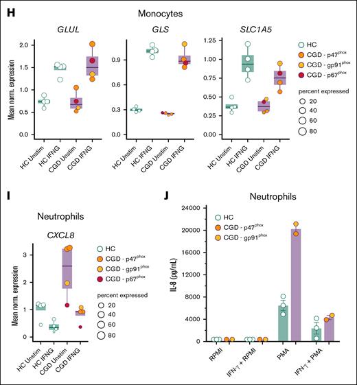 IFN-γ treatment restores functional metabolic defect in CGD monocytes. (A-B) Calculated glycolytic metabolic parameters on the Glyco Stress Test (A) and calculated mitochondrial parameters on Mito Stress Test (B) of monocytes from HC (n = 5 for Glyco Stress Test, n = 7 for Mito Stress Test) and patients with CGD (n = 7 for Glyco Stress Test, n = 8 for Mito Stress Test) after 12 hours treatment with medium (RPMI) or IFN-γ (50 ng/mL) measured by Seahorse XF technology. (C) Mean normalized expression of genes associated with NAD+ salvage pathway differentially expressed in CD14+ monocytes on 4 hours ex vivo whole blood stimulations with IFN-γ vs unstimulated within the group of HC (n = 4) and patients with CGD (n = 4), respectively. Dots are colored by donor identity, and dot size is scaled to the percentage of cells expressing the respective gene. (D-E) IL-6 (D) and IL-1β (E) production in CGD monocytes (n = 6) and HC (n = 5) preincubated for 4 hours with or without IFN-γ (50 ng/mL) and then stimulated for 24 hours with either medium (RPMI), live A fumigatus (1 × 107 conidia per mL), heat-killed C albicans UC820 (1 × 106 yeast per mL), Pam3Cys (10 μg/mL), or LPS (10 ng/mL). (F) A fumigatus outgrowth in monocytes preincubated for 4 hours with or without IFN-γ (50 ng/mL) after the in vitro killing assay, expressed as percentage killing in respect to the total inoculum (CGD n = 2, HC n = 2). (G) Monocytes from HC (n = 1) and patients with CGD (n = 2) were preincubated with IFN-γ (50 ng/mL) and then trained for 24 hours by incubation with 5 μg/mL BCG in the presence of 10% HPS. Thereafter, the stimulus was removed, and cells were kept in RPMI with 10% HPS (regular medium) or in a medium containing 10% human serum and IFN-γ (50 ng/mL). On day 6, a second stimulation with LPS (10 ng/mL) was performed for an additional 24 hours. IL-6 levels were measured in cell culture supernatants after the second stimulation. (H) Mean normalized expression of selected differentially expressed genes related to glutamine metabolism in CD14+ monocytes on 4 hours of ex vivo whole blood stimulation with IFN-γ vs unstimulated within the group of patients with CGD (n = 4) and HC (n = 4), respectively. Dots are colored by donor identity, and dot size is scaled to the percentage of cells expressing the respective gene. (I) Mean normalized gene expression of CXCL8 in neutrophils on 4 hours of in vitro whole blood stimulation with IFN-γ vs unstimulated demonstrated differential expression in each group (CGD n = 4, HC n = 4) comparing in vitro IFN-γ treated vs untreated cells after 4 hours of incubation. Dots are colored by donor identity, and dot size is scaled to the percentage of cells expressing the respective gene. (J) IL-8 production of HC (n = 3) and CGD neutrophils (n = 2) preincubated for 30 minutes with or without IFN-γ (50 ng/mL) and then stimulated with either medium (RPMI) or PMA (50 ng/mL) for 4 hours. (A, B, D-G, J) Data are illustrated as mean ± SEM, and statistical analysis was performed using the Wilcoxon signed-rank test comparing within the patient group (or within the control group) the IFN-γ–treated condition with the untreated condition.