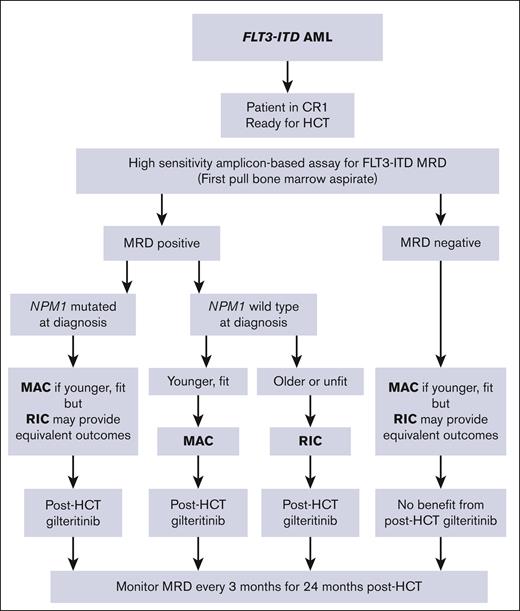 Flow chart for suggested management of FLT3-ITD AML, incorporating MRD, NPM1 mutation status, and relative fitness of the patient. CR1, first remission.