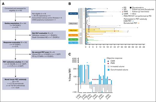 Treatment outcomes and response. (A) Consort diagram. (B) Treatment duration and follow-up (F/U) postcompletion according to disease and RT dose level. Durvalumab treatment indicated by colored solid bars. Triangles represent best response, circle represents PD. Black arrows illustrate participants who were alive at data lock. Participants in the PET substudy are denoted by colored arrows according to tracer. (C) TMTV change in lesions according to RT dose level and in-treated volume vs out-of-treated volume responses. X represents participants who did not have a F/U PET/CT. CNS, central nervous system; MRI, magnetic resonance imaging; CMR, complete metabolic response; PMR, partial metabolic response; SD, stable disease; PD, progressive disease.