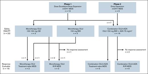 Study design and patient flow. The study pooled 13 patients from phase 1 and 9 patients from phase 2 who entered the study with MDS. Three patients from the phase 1 study received a suboptimal, lower than recommended dose of olutasidenib (OLU) monotherapy (100-150 mg daily). The remaining 3 monotherapy patients received the full dose of OLU at 150 mg, twice daily. Seven patients from the phase 1 study received combination therapy of OLU + AZA (OLU + AZA). When combined with 9 patients from the phase 2 study, 16 total patients with MDS received OLU + AZA. The safety population or FAS comprised 22 patients, of whom 6 received some form of OLU monotherapy and 16 received OLU + AZA combination therapy. The response-evaluable population excluded 1 patient from the monotherapy group and 2 patients from the combination therapy group who did not have any response assessments during the study. The response-evaluable population consisted of 2 TN patients who received OLU monotherapy and 5 TN patients who received OLU + AZA for a total of 7 TN patients evaluated for response; and 3 R/R patients who received OLU alone and 9 R/R patients who received OLU + AZA for a total of 14 R/R patients evaluated for response. BID, twice daily; QD, daily.