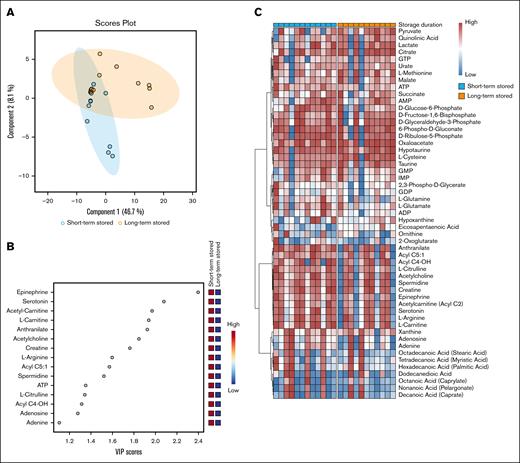 Overview of PC metabolomics. (A) The partial least squares discriminant analysis (PLS-DA) scores plots of short and long-term stored PCs using components 1 and 2. The clustering pattern highlights distinct metabolic profiles influenced by storage duration, indicating potential biochemical shifts over time. (B) The variable importance in projection (VIP) scores from the PLS-DA model, highlighting the metabolites that had the greatest influence on the separation between short- and long-term stored samples. Higher VIP scores indicate metabolites that contributed most to the observed metabolic differences, potentially identifying key biomarkers affected by storage duration. (C) Pretransfusion heat map of all included metabolites. All data were categorized by storage duration (short- or long-term stored). Hierarchical clustering was used to group metabolites in clusters. AMP, adenosine 5′-monophosphate; ATP, adenosine triphosphate; GDP, guanosine diphosphate; GMP, guanosine monophosphate; GTP, guanosine triphosphate; IMP, inosine monophosphate.