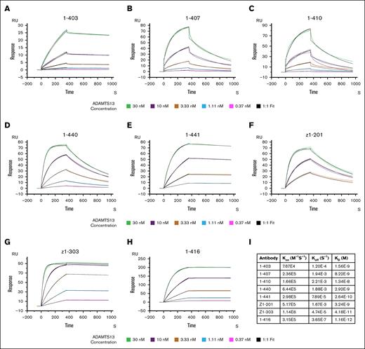 Anti-ADAMTS13 antibodies display high affinity for ADAMTS13. (A-H) Binding between 7 patient-derived anti-CUB antibodies and 1 antispacer antibody (1-416), and wtADAMTS13 as determined by SPR (n = 2). Figures display association (first 360 seconds) and dissociation (rest of the chromatogram) curves upon flowing of various concentration of ADAMTS13 across a chip coated with the respective antibody, the binding that occurs is expressed in response units. (I) Table of binding constants as determined by fitting of the experimental data using a 1:1 binding model. Green, 30 nM ADAMTS13; purple, 10 nM ADAMTS13; gold, 3.33 nM ADAMTS13; light blue, 1.11 nM ADAMTS13; and magenta, 0.37 nM ADAMTS13. Black, fit according to 1:1 binding model.