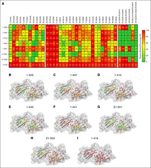 Binding of patient-derived antibodies to single or combination alanine variants. (A) Heat map of the average binding of patient-derived antibodies to various CUB domain alanine variants, expressed as a percentage relative to wtADAMTS13 binding (n = 3). (B-H) Relative binding percentage of 7 patient-derived anti-CUB antibodies against single-alanine variants displayed on the structure of the CUB domains of ADAMTS13. (I) Patient-derived antispacer antibody (1-416) does not show any alterations in binding toward CUB domain alanine variants.