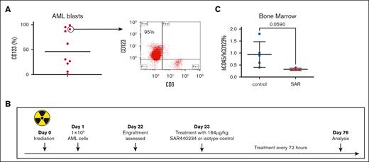 SAR leads to decrease in AML involvement in a patient-derived xenograft model. NSG mice were inoculated with patient-derived AML cells (n = 10) 1 day after sublethal irradiation, 300 cGy. After detection of human engraftment in the peripheral blood, the animals were treated with SAR or isotype control. (A) AML blasts from bone marrow aspirate samples were stained with anti-hCD123 phycoerythrin (PE) and anti-hCD3 allophycocyanin (APC). Right depicting a representative plot. (B) Patient-derived xenograft schema. (C) Summary of analyzed bone marrow. Samples collected from NSG mice were stained with anti-hCD45 prussian blue (PB) and -hCD123 PE. Mean with standard deviation shown. Statistical analysis was performed by unpaired t test using GraphPad Prism 10.0 (GraphPad Software Inc). hCD45, human CD45.