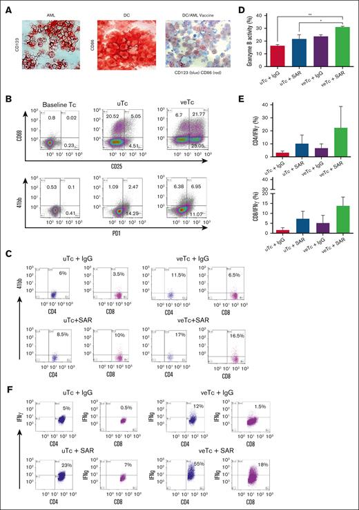Combination of DC/AML fusion vaccine with SAR leads to induction of tumor-specific T-cell immunity ex vivo. (A) Fusion efficiency was established using immunohistochemical staining, AML cells stained with CD123 (left), DCs stained with CD86 (middle), and DC/AML fusion cells stained with both CD123 and CD86 (right). (B) T-cell activation was analyzed by flow cytometry at baseline (day 0), and after in vitro fusion veTcs vs uTcs (day 5). Cells were stained with the activation markers CD25 APC, CD69 PE, 41bb APC, and PD1 BV421. (C) 41bb expression by flow cytometry; in vitro coculture of veTcs with autologous tumor cells led to further antigen-specific activation in the presence of SAR in both CD4 and CD8 subsets vs the control engager. (D) The capacity of veTcs to target autologous leukemia cells in the presence of TCE in vitro was assessed by flow cytometry. Dying target cells are identified by cells that dually stain for tumor labeled with TFL4 (APC channel) and cleaved granzyme B substrate (FITC channel). Mean of 3 separate assays is shown, pairwise comparisons all not significant. (E) Detection of intracellular IFN-γ of CD4 and CD8 by flow cytometry after coculture of veTcs with autologous tumor cells and the addition of SAR (30 ng). Mean with standard error of the mean (SEM) for 3 separate assays is shown. (F) Representative flow plots of intracellular IFN-γ for CD8 and CD4 T cells. Statistical analysis was performed by 1-way analysis of variance using GraphPad. ∗P ≤ .05; ∗∗P ≤ .01. PD1, programmed cell death protein 1.