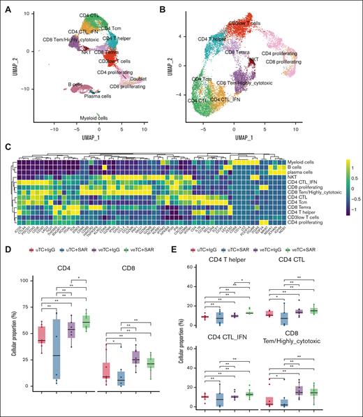 The transcriptional states of the treated mice. (A) Two-dimensional UMAP of all cells. A total of 12 773 cells passed quality control, capturing 12 populations, depicted with distinct colors, corresponding to 4 major lineages, including T cells, B cells, plasma cells, and myeloid cells. (B) UMAP of the T-cell compartment; 10 T-cell populations were identified and are depicted with distinct colors. (C) Heat map capturing the expression of marker genes across the distinct cell populations. (D-E) Box plots portraying cell proportion differences among the mice treated with uTcs + IgG (n = 8), uTcs + SAR (n = 6), veTcs + IgG (n = 8), veTcs + SAR (n = 8). (D) CD8 and CD4 total T cells and (E) specific T-cell subsets, including CD4 T helper cells and CD4 and CD8 cytotoxic T-cell populations. Significantly different proportions among pairwise comparisons are denoted with asterisks (∗FDR < 0.05, ∗∗FDR < 0.01; Dirichlet regression, Benjamini-Hochberg FDR correction). NKT, natural killer T cells; Tcm, T central memory; Temra, T effector memory RA; UMAP, uniform manifold approximation and projection.