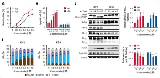 A1 induces G0/G1 phase arrest with NOXA induction-mediated cyclin D1 reduction in Bcl-xL expressing cells. (A) Growth inhibition by DHA, VEN, DHA + VEN, and A1 in KCL22 and K562 cells treated for 72 hours. (B) Apoptosis induction in KCL22 and K562 cells treated with 0.8 μM DHA, VEN, DHA + VEN, and A1 for 24 hours. Apoptotic cells were quantified using FACS after staining with annexin V/PI. (C) Cell cycle distribution of KCL22 and K562 cells treated with 0.8 μM DHA, VEN, DHA + VEN, and A1 for 24 hours and assessed by FACS after PI staining. (D) Protein regulation of KCL22 and K562 cells treated with A1 at the indicated concentrations for 24 hours. The downward column figures are image density analyses of 3 independent experiments. (E) K562 cells transfected with Bcl-xL (BCL2L1)-small interfering RNA (siRNA) for 24 hours, followed by treatment with 0.8 μM A1 for 24 hours. (F) K562 cells treated with 0.8 μM A1, 0.8 μM A1155463 alone, and their combination for 24 hours. Apoptotic cells were quantified using FACS after staining with annexin V/PI. The relative protein levels were determined by western blotting. (G) Growth inhibition of KV2 (transfected with an empty vector) and KB8 (transfected with Bcl-xL expressing vector) cells treated with A1 for 72 hours. (H) Apoptosis induction of KV2 and KB8 cells treated with A1 at the indicated concentrations for 24 hours. Apoptotic cells were quantified using FACS after staining with annexin V/PI. (I) Cell cycle distribution of KV2 and KB8 cells treated with A1 for 24 hours and assessed by FACS after PI staining. (J) The relative protein levels of KV2 and KB8 cells treated with A1 for 24 hours. The right column figures are image density analyses of 3 independent experiments. ∗P < .05; ∗∗P < .01; ∗∗∗P < .001 when compared with the control group. ##P < .01; ###P < .001 2-group analysis. BimEL, Bim extralong; BimL, Bim long; BimS, Bim short; Con, control; siCtrl, small interfering RNA control.