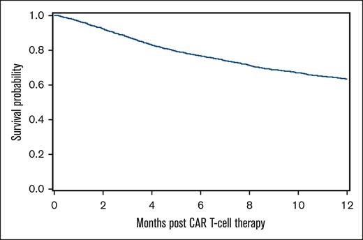 OS curve of patients within 1 year after CAR T-cell therapy.
