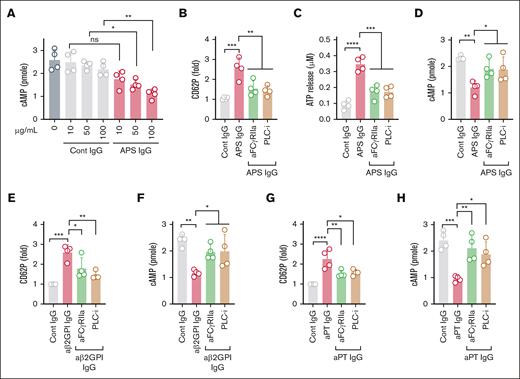 FcγRIIa-mediated platelet activation and lowering of cAMP by IgG purified from APS plasma. (A) Purified platelets obtained from healthy volunteers (n = 4) were treated with various concentrations of control IgG (cont IgG) or APS IgG for 1 hour, and cAMP was measured by assay kit. Platelets pretreated with either a monoclonal anti-FcγRIIa antibody (aFcγRIIa, clone IV.3, 1μg) or U73122 (PLC-i, 1μM), followed by stimulation with 100 μg/mL APS IgG for 1 hour. Platelets were evaluated for surface CD62P (α-granules) using a flow cytometer (B), released ATP (dense granule) using luminescent-based assay (C), and cellular cAMP using an assay kit (D). (E-H) CD62P and cAMP were measured in platelets pretreated with aFcγRIIa (1 μg) or PLC-i (1 μM). After incubation, platelets were stimulated with affinity-purified aβ2GPI IgG (20 μg/mL) or affinity-purified aPT IgG (10 μg/mL) for 1 hour. Data represent mean ± SD. ∗P < .05, ∗∗P < .01, ∗∗∗P < .001, ∗∗∗∗P < .0001, and ns by a 1-way ANOVA with the Tukey multiple comparisons correction (n = 4). PLC-I, phospholipase C-inhibitor.