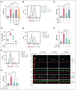 Induction of A2AR reduces platelet activation by enhancing cAMP. (A) Healthy platelets were pretreated with either vehicle or CGS21680 (A2AR-a, 5μM) or BAY 60-6583 (A2BR-a, 5μM), followed by stimulation with thrombin (0.05 U/mL) for 15 minutes. CD62P was assessed using flow cytometry. (B-C) Flow cytometric analysis of surface CD62P in platelets preincubated with vehicle or A2AR inhibitor (SCH-442416, 5μM) for 20 minutes, followed by A2AR-a and thrombin (0.05 U/mL) stimulation. (D) Quantification of released ATP in A2AR-a and thrombin-treated platelets. (E-F) A2AR-a (1μM and 5μM) pretreated platelets were stimulated with either convulxin (20 ng/mL) or (G-H) U46619 (5μM) and assessed for surface CD62P using a flow cytometer. (I) Purified platelets were pretreated with vehicle or A2AR-a for 15 minutes before stimulation with thrombin (0.05 U/ml), or convulxin (20 ng/mL), or U46619 (5μM) for 15 minutes. The representative immunoblots show the phosphorylated-Akt (pAkt, Ser 473), total Akt, (pGSK3β, Ser9), and total GSK3β. Glyceraldehyde-3-phosphate dehydrogenase (GAPDH) was also used as an internal loading control for all the samples. Data represent mean ± SD. ∗∗∗P < .001, ∗∗∗∗P < .0001, and ns by a 1-way ANOVA with the Tukey multiple comparisons correction (n = 4).