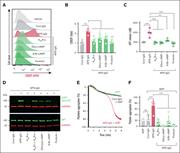 cAMP inducers decrease APS IgG–induced platelet activation and aggregation. Purified platelets were preincubated with A2AR-i (5μM), A2AR-a (5 μM), dibutyryl-cAMP (Dibut-cAMP, 0.5 mM), 8-Br-cAMP (1 mM), or forskolin (1 μM) for 20 minutes, followed by stimulation with 100 μg/mL cont IgG or APS IgG for 1 hour. (A-B) Platelets were then assessed for surface CD62P using flow cytometry, and (C) released ATP in the supernatant from the treated platelets using the luminescence-based assay. ∗P < .05, ∗∗P < .01, ∗∗∗P < .001, and ∗∗∗∗P < .0001, by a 1-way ANOVA with the Tukey multiple comparisons test (n = 4). (D) Representative immunoblots for (pAkt, Ser 473), total Akt, and GAPDH in the treated platelets (n = 3). (E and F) Representative curves and quantification of washed platelet aggregation in response to 100 μg/mL cont IgG or APS IgG treatment in the presence or absence of cAMP inducers, followed by stimulation with ADP (Effective concentration of 5-10 μM). Data represent mean ± SD. ∗∗∗∗P < .0001 and ns by a 1-way ANOVA with the Tukey multiple comparisons test (n = 5).