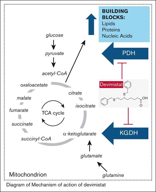 Mechanism of action of devimistat. acetyl-CoA, acetyl coenzyme A; KGDH, α-ketoglutarate dehydrogenase; PDH, pyruvate dehydrogenase; succinyl-CoA, succinyl coenzyme A.