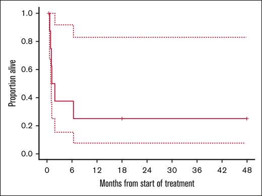 OS of evaluable patients with R/R-BL.