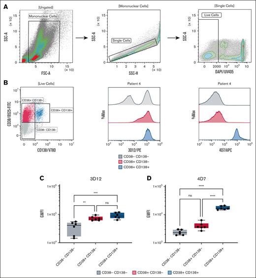 HLA-E expression in BMMCs from patients with MM. BMMCs were isolated from the BM of 6 patients with active MM who were treatment naïve. (A) Representative gating strategy for BM cell populations from patient 4. (B) Representative dot plot showing CD38 and CD138 subpopulations (left), and overlay histograms of HLA-E staining using mAb 3D12 (PE-conjugated, middle) and mAb 4D7 (APC-conjugated, right) in CD38–CD138– (gray), CD38+CD138– (red), and CD38+CD138+ (blue) subpopulations. (C-D) Box plots summarizing HLA-E staining GMFI across the subpopulations for all 6 patients with MM using 3D12 (C) and 4D7 (D) antibodies. Cells (5 × 105) were stained with BV780-conjugated anti-CD38 and fluorescein isothiocyanate-conjugated anti-CD138 antibodies (5 μg/mL each). Data were acquired using a CytoFLEX flow cytometer and analyzed with Kaluza software. FSC-A, forward scatter area; GMFI, geometric mean fluorescence intensity; ns, not significant; PE, fluorescent dye R-phycoerythrin; SSC-A, side scatter area.
