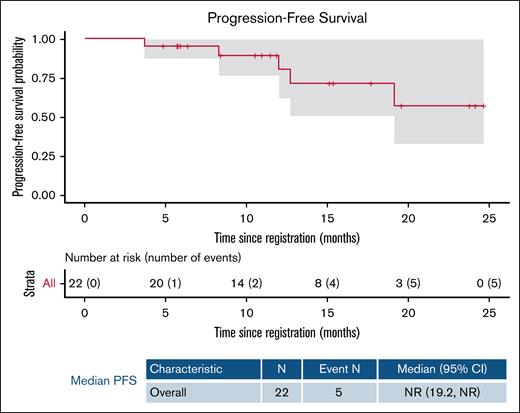 Kaplan-Meier plot of the PFS estimate. CI, confidence interval; N, number; NR, not reached.