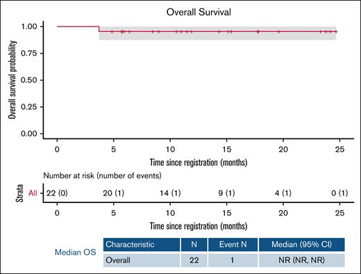 Kaplan-Meier plot of the OS estimate. CI, confidence interval; N, number; NR, not reached.
